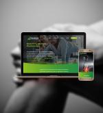 physiotherapist websites compressor